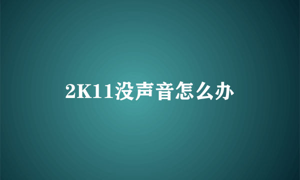 2K11没声音怎么办