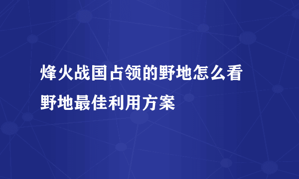 烽火战国占领的野地怎么看 野地最佳利用方案