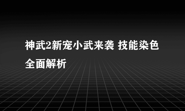 神武2新宠小武来袭 技能染色全面解析