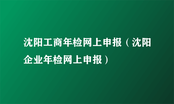 沈阳工商年检网上申报（沈阳企业年检网上申报）