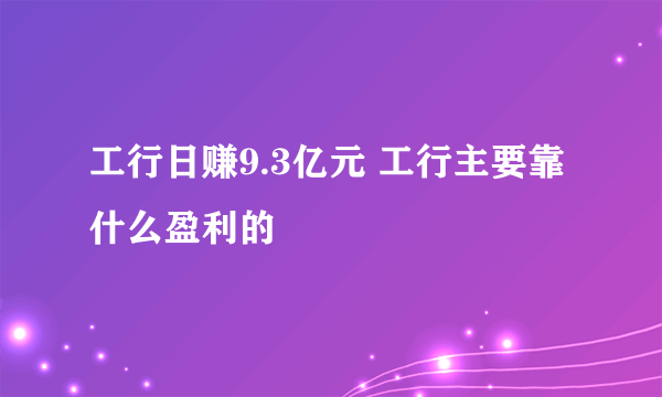 工行日赚9.3亿元 工行主要靠什么盈利的