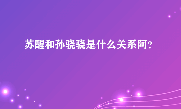 苏醒和孙骁骁是什么关系阿？