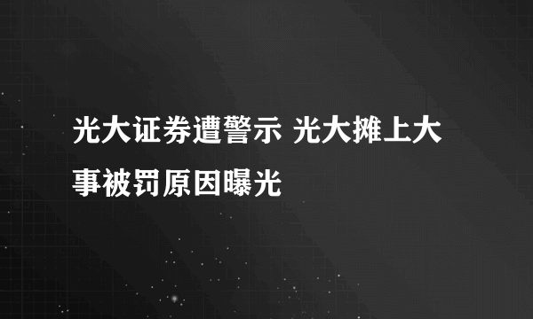 光大证券遭警示 光大摊上大事被罚原因曝光