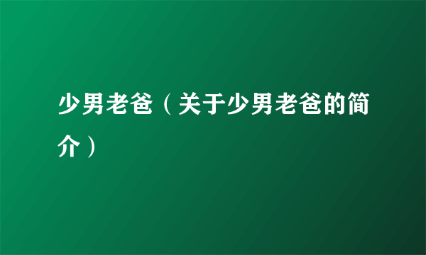 少男老爸（关于少男老爸的简介）