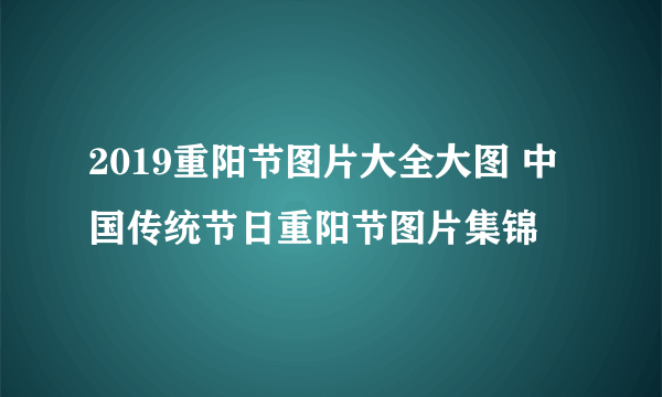 2019重阳节图片大全大图 中国传统节日重阳节图片集锦