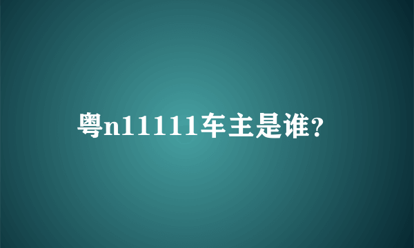 粤n11111车主是谁？