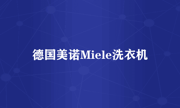 德国美诺Miele洗衣机