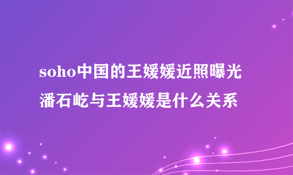 soho中国的王媛媛近照曝光 潘石屹与王媛媛是什么关系