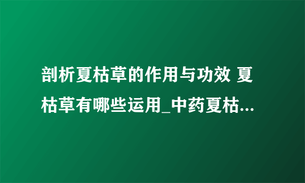 剖析夏枯草的作用与功效 夏枯草有哪些运用_中药夏枯草的功效与作用_夏枯草的妙用有什么_夏枯草中药的应用范围有哪些