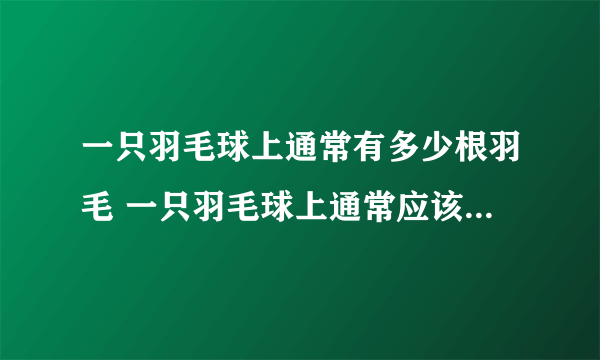 一只羽毛球上通常有多少根羽毛 一只羽毛球上通常应该有多少根羽毛