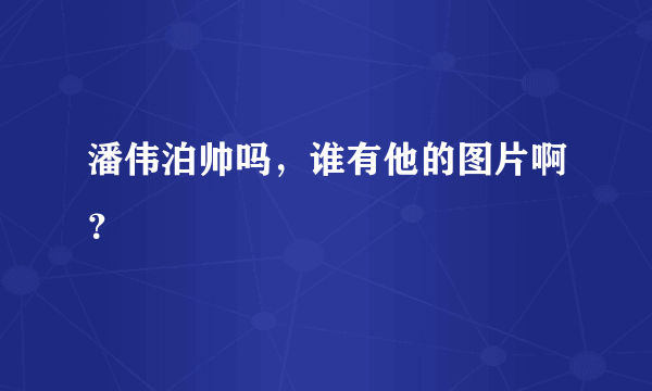 潘伟泊帅吗，谁有他的图片啊？