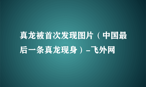 真龙被首次发现图片（中国最后一条真龙现身）-飞外网