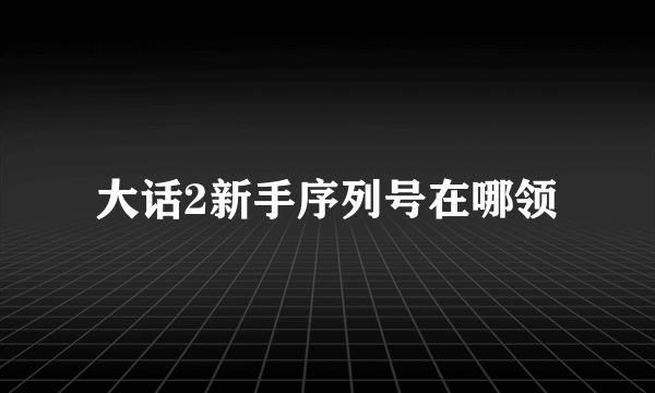 大话2新手序列号在哪领