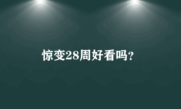 惊变28周好看吗？