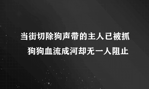 当街切除狗声带的主人已被抓   狗狗血流成河却无一人阻止