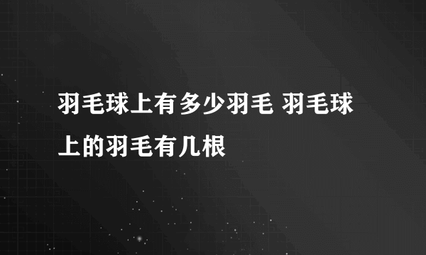 羽毛球上有多少羽毛 羽毛球上的羽毛有几根