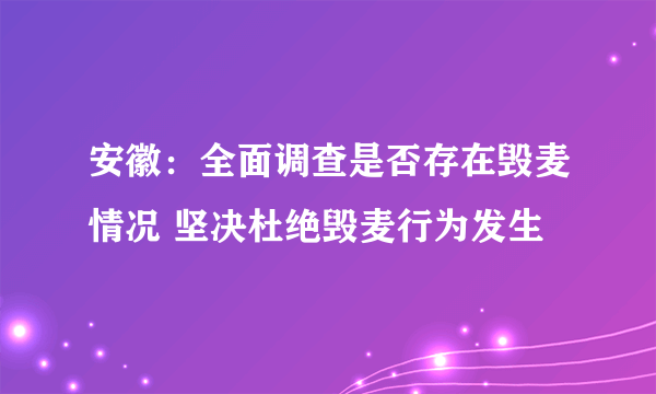 安徽：全面调查是否存在毁麦情况 坚决杜绝毁麦行为发生