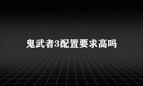 鬼武者3配置要求高吗