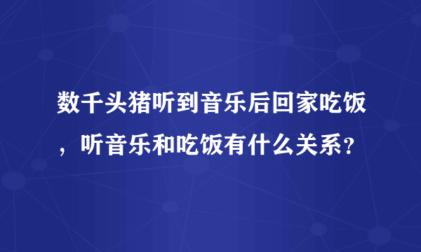 数千头猪听到音乐后回家吃饭，听音乐和吃饭有什么关系？