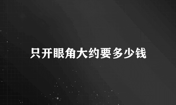 只开眼角大约要多少钱