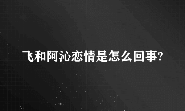 飞和阿沁恋情是怎么回事?