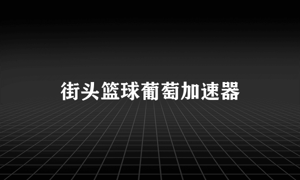 街头篮球葡萄加速器