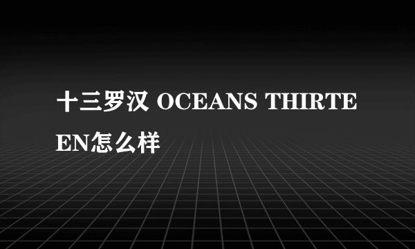 十三罗汉 OCEANS THIRTEEN怎么样