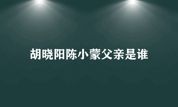 胡晓阳陈小蒙父亲是谁