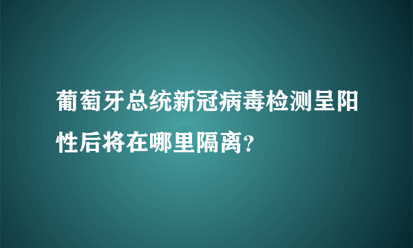 葡萄牙总统新冠病毒检测呈阳性后将在哪里隔离？