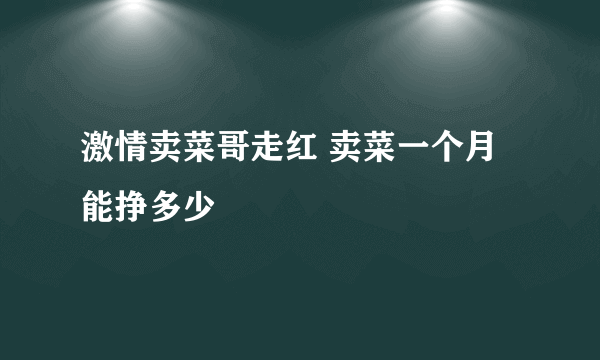 激情卖菜哥走红 卖菜一个月能挣多少