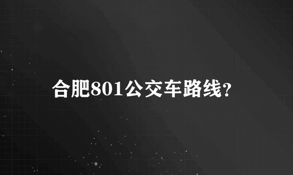 合肥801公交车路线？