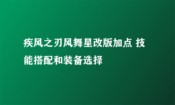 疾风之刃风舞星改版加点 技能搭配和装备选择