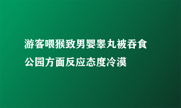 游客喂猴致男婴睾丸被吞食 公园方面反应态度冷漠