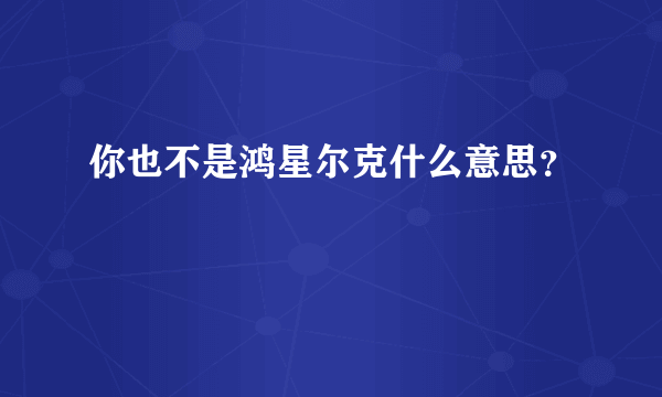 你也不是鸿星尔克什么意思？