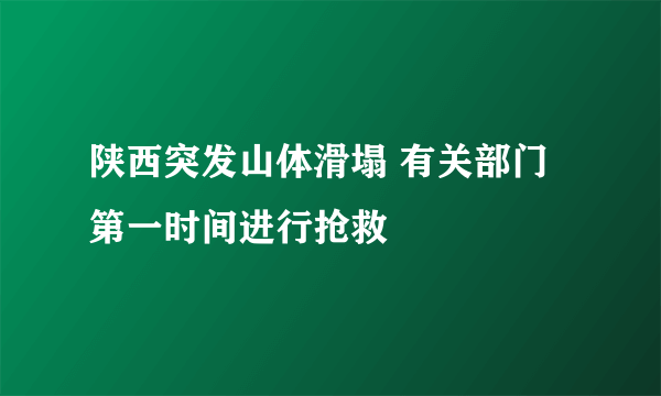 陕西突发山体滑塌 有关部门第一时间进行抢救