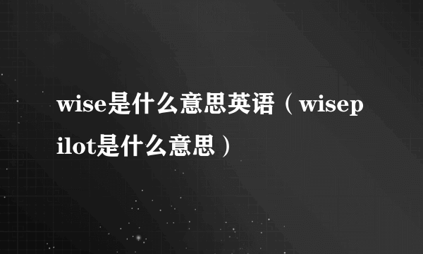 wise是什么意思英语（wisepilot是什么意思）