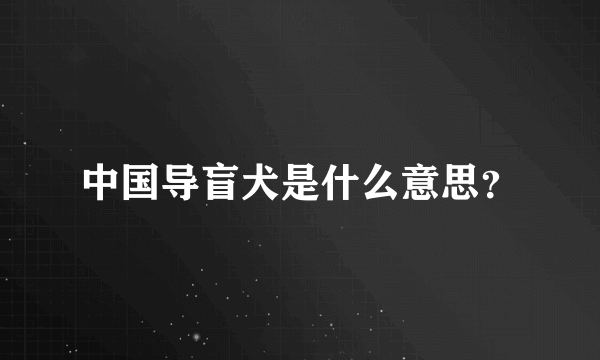 中国导盲犬是什么意思？