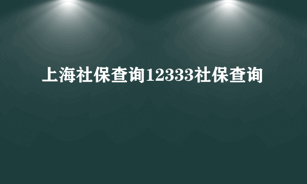 上海社保查询12333社保查询