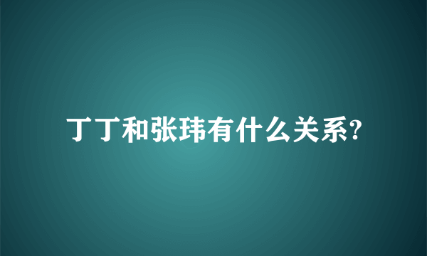 丁丁和张玮有什么关系?