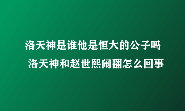 洛天神是谁他是恒大的公子吗 洛天神和赵世熙闹翻怎么回事