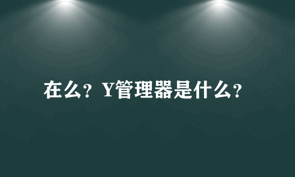 在么？Y管理器是什么？