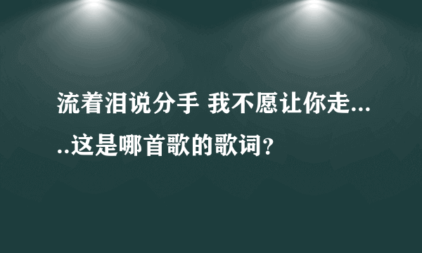 流着泪说分手 我不愿让你走.....这是哪首歌的歌词？