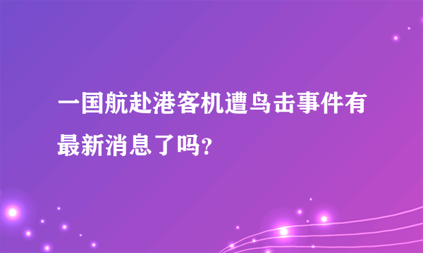 一国航赴港客机遭鸟击事件有最新消息了吗？