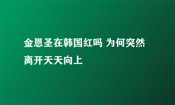 金恩圣在韩国红吗 为何突然离开天天向上