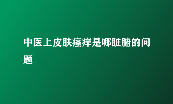 中医上皮肤瘙痒是哪脏腑的问题