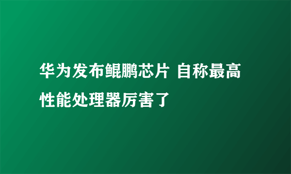 华为发布鲲鹏芯片 自称最高性能处理器厉害了