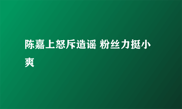 陈嘉上怒斥造谣 粉丝力挺小爽