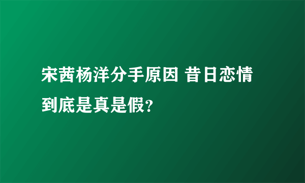 宋茜杨洋分手原因 昔日恋情到底是真是假？