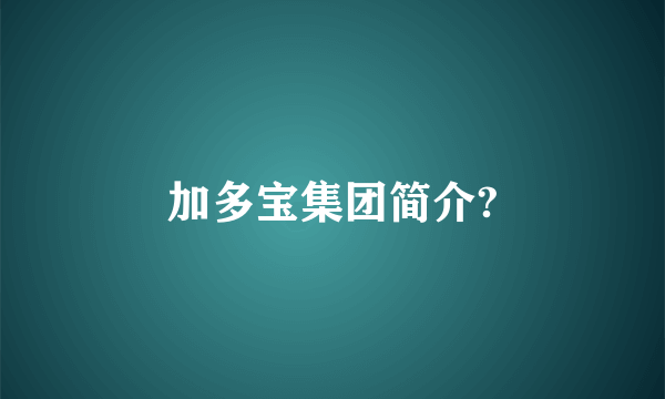 加多宝集团简介?