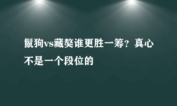 鬣狗vs藏獒谁更胜一筹？真心不是一个段位的